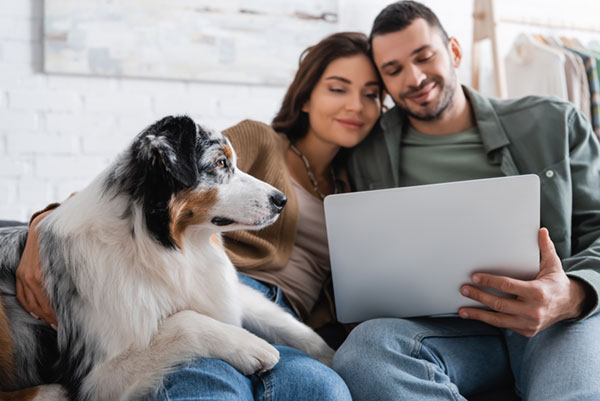 Man and woman using a laptop with a great big black, white and brown coloured dog with his paws on the girl's lap